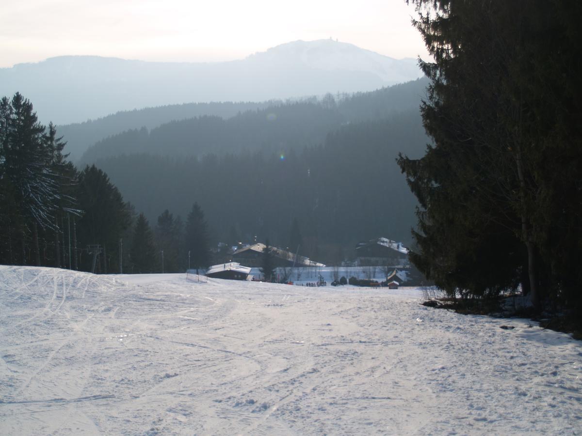 Chata Obzor Zelezna Ruda Exterior photo